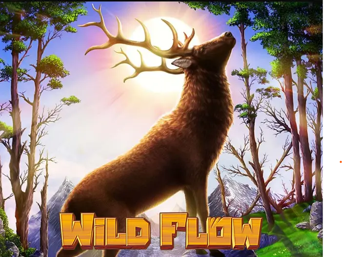 본문 첫번째 이미지