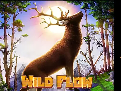 WiLD FLOW slot