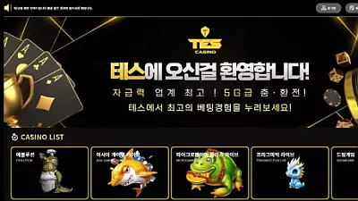 테스카지노 먹튀 사건: tes-77.com 도메인에서 200만원 피해 발생 주의보