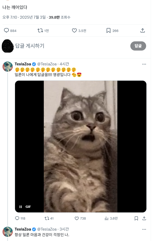 김구 선생님 보고계십니까? (feat. 일론 머스크)