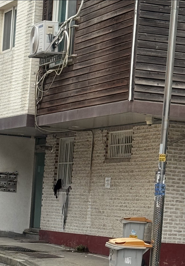 헐 까마귀같은 도둑고양이