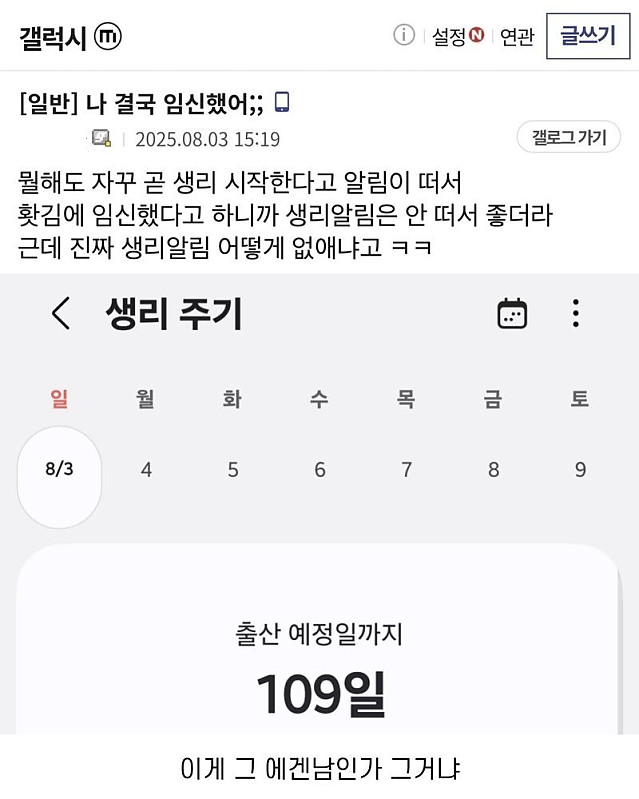 나 결국 임신했어